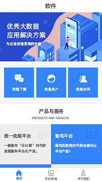 軟件公司-軟件開(kāi)發(fā)公司小程序模板